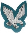 Italian Army Badges